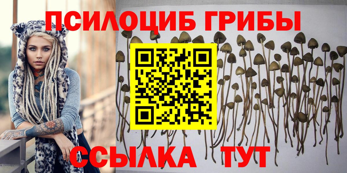 Кисловодск  Псилоцибиновые грибы мухоморы  Псилоцибиновые грибы Magic Shrooms  Вход с VPN 